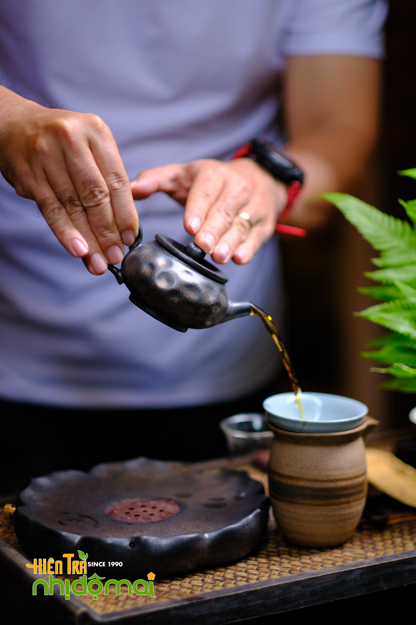 Hồng Tường Vi - Hồng trà hoa Hồng_6053