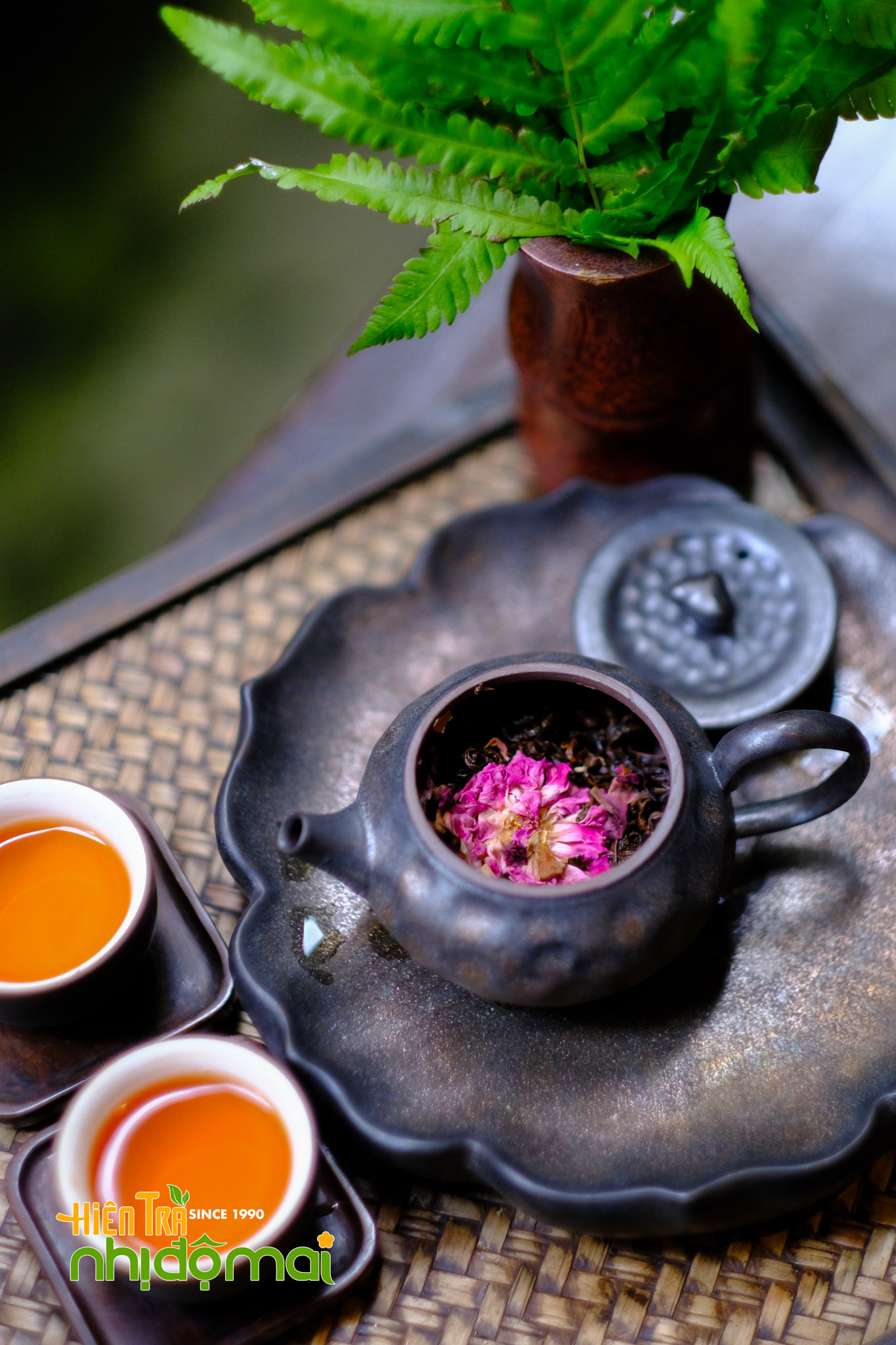 Hồng Tường Vi - Hồng trà hoa Hồng_6067