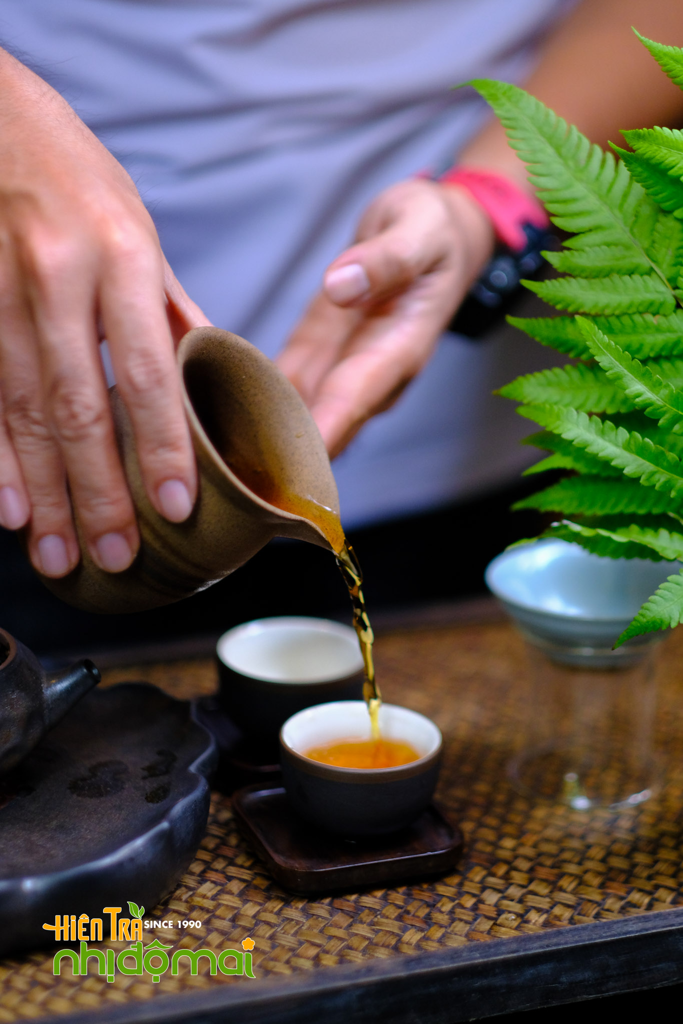 Hồng Tường Vi - Hồng trà hoa Hồng_6083